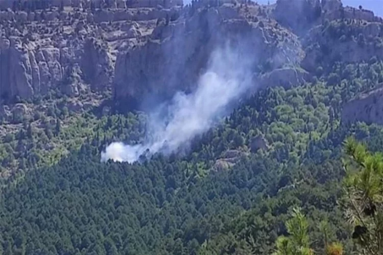 Adana Feke'de orman yangını