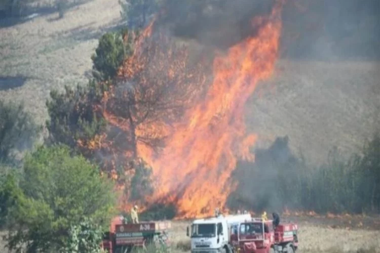 Adana Sarıçam'da orman yangını