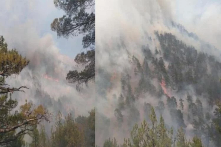 Kayseri'nin Yahyalı ilçesinde orman yangını