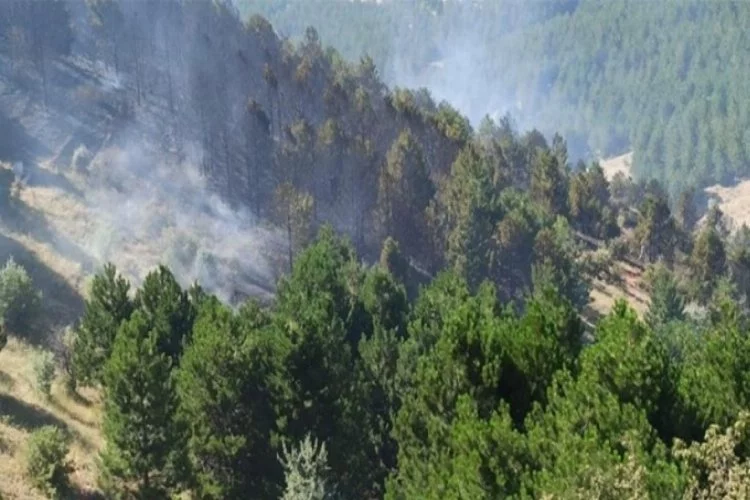 Kırıkkale'de ormanlık alanda çıkan yangın söndürüldü