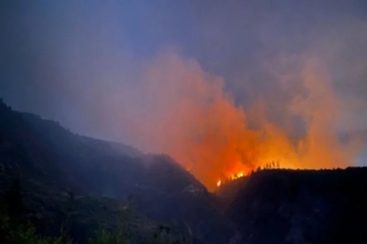 Osmaniye'deki orman yangını sürüyor