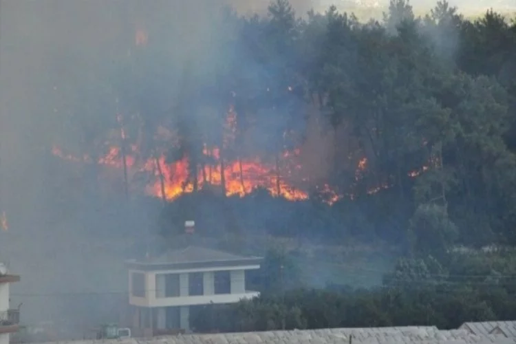 Antalya Manavgat'taki yangın 21 saat sonra kontrol altında