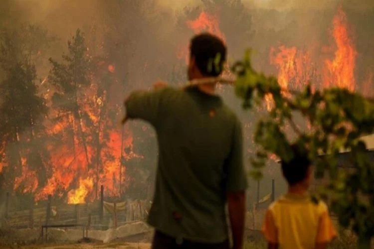 AFAD'dan orman yangınları açıklaması