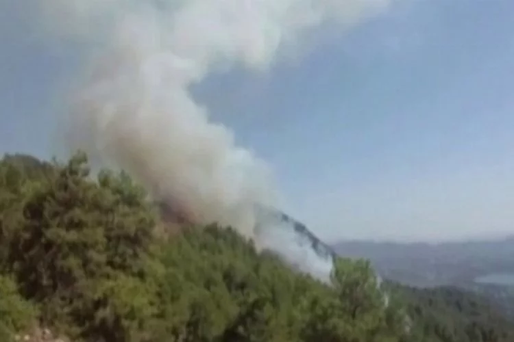 Muğla'da Köyceğiz ormanları da yanmaya başladı