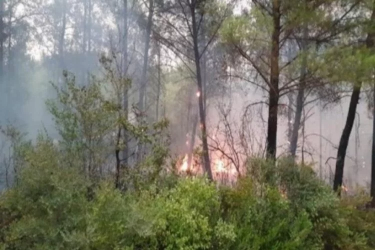Osmaniye'deki orman yangınının 3'üncü günde hızı kesildi