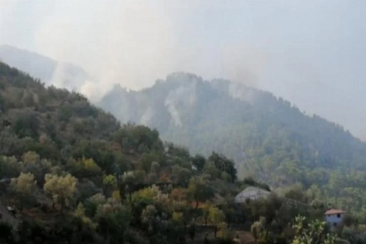 Antalya'nın Gazipaşa ilçesinde yangın