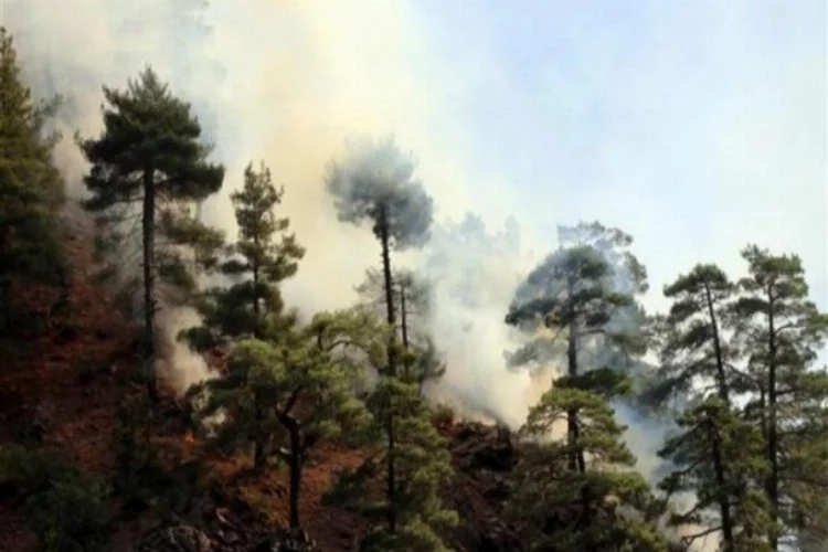 Kayseri'de Aladağlar Milli Parkı'ndaki yangın kontrol altına alındı