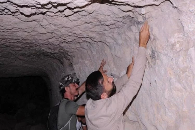 Kayseri'de ilk kez tüf mağara tavanında fosil bulundu!