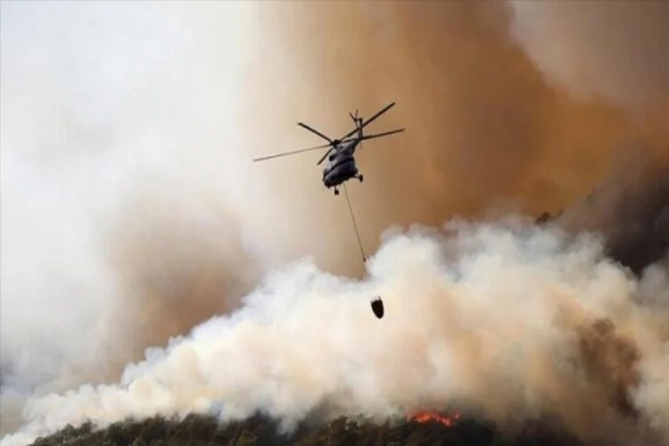 Enez'de çıkan orman yangını söndürüldü