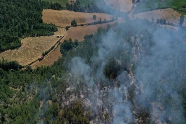 Kastamonu'da orman yangını! Ekipler bölgede