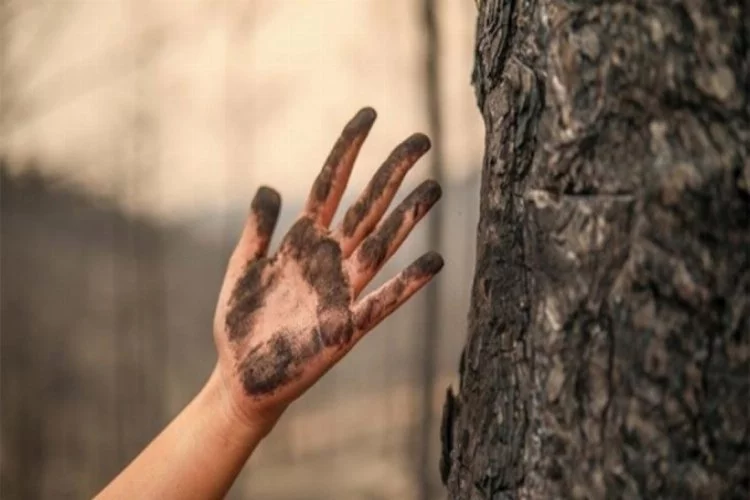 Dünyadan Türkiye'ye yangın felaketi için dayanışma mesajları