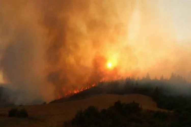 AK Parti Ankara İl Başkanlığından orman yangınlarının etkili olduğu illere yardım