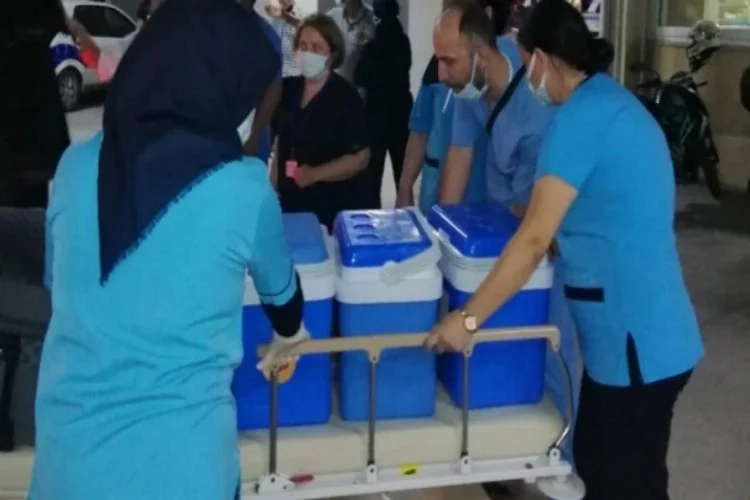 Beyin ölümü gerçekleşen kadının organları Bursa'da umut oldu