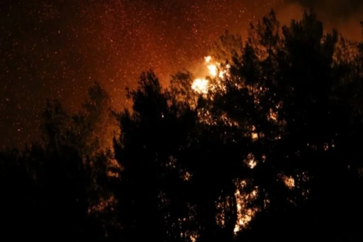 Herkesin cevabını merak ettiği soru: Orman yangınları nasıl aynı anda başladı?