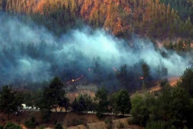 Adana'daki orman yangınları kısmen kontrol altında