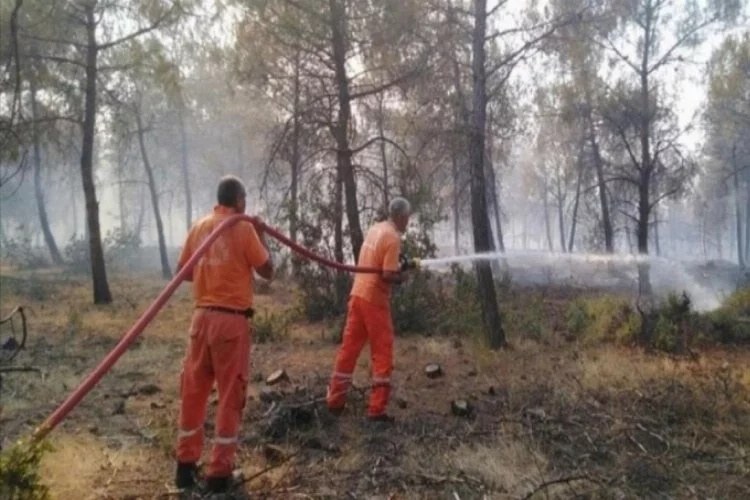 Kilis'te ormanlık alanlara giriş yasaklandı