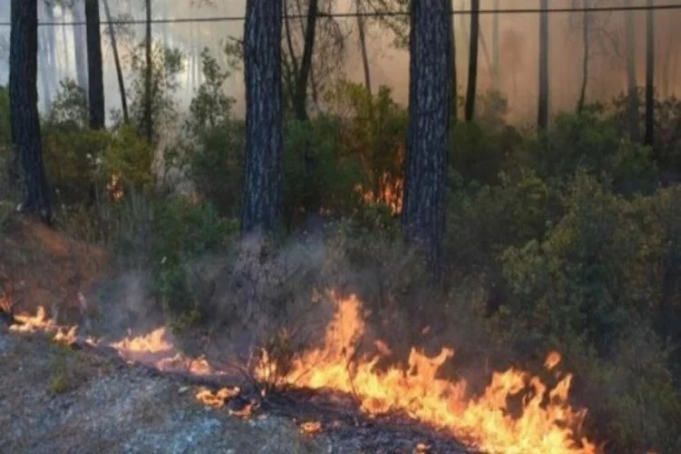 Marmaris'teki orman yangınında karayolu ulaşıma kapatıldı