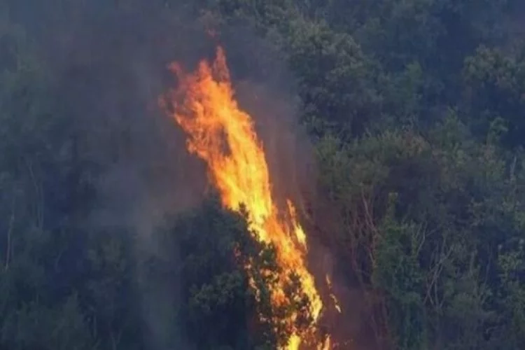 Kazakistan'dan Türkiye'deki orman yangınları nedeniyle dayanışma mesajı