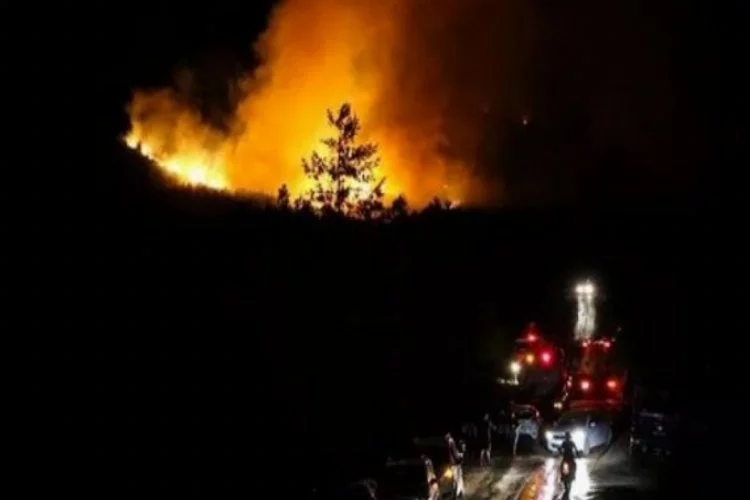 Mersin Silifke'deki orman yangınını söndürme çalışmaları devam ediyor
