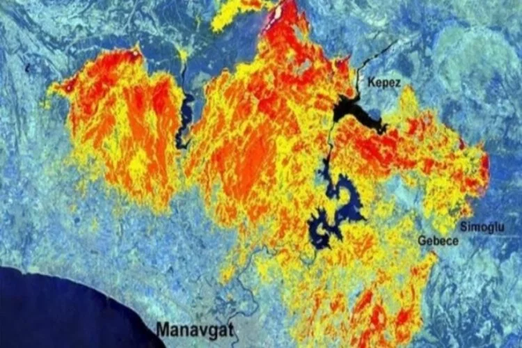 Manavgat'ta 30 bin 632 hektarlık alanda yangın etkili olmuş!