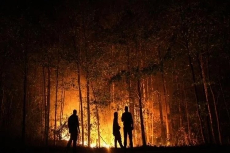 Rusya'daki orman yangınlarıyla mücadele sürüyor