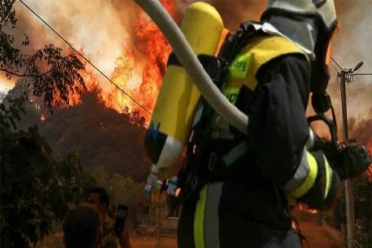 Orman yangınları neden artıyor? Hangi yıkıcı sonuçlar...