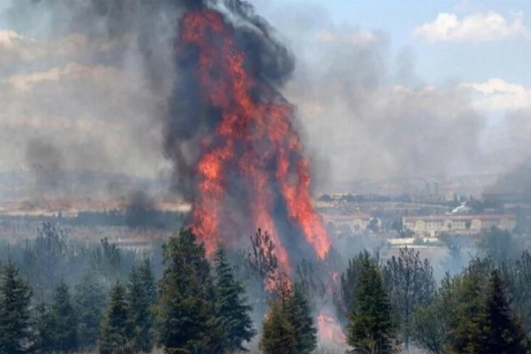 Atatürk Orman Çiftliği'ndeki yangın soruşturmasında jet iddianame!