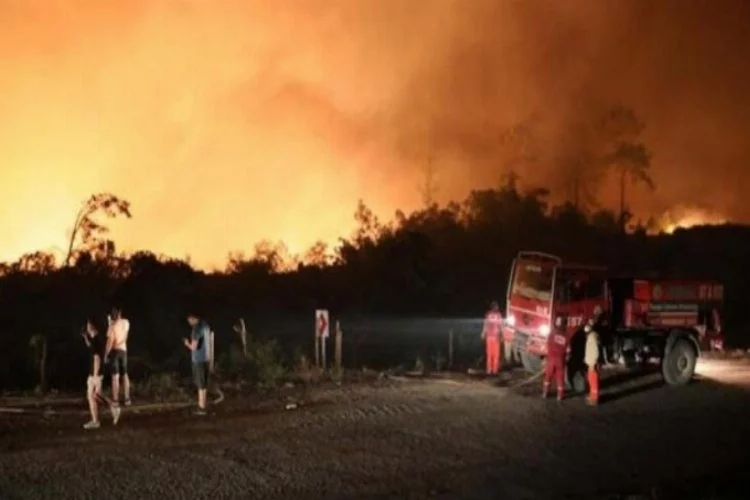 4 ilde yangınlara 2 bin 310 personelle müdahale ediliyor!