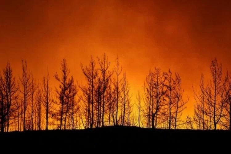 Türkiye'deki orman yangınlarına 6 ülkeden hava desteği!