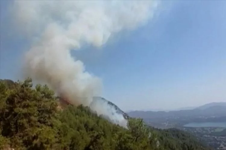 "Orman yangınlarını fırsata çevirenleri şikayet edin" çağrısı