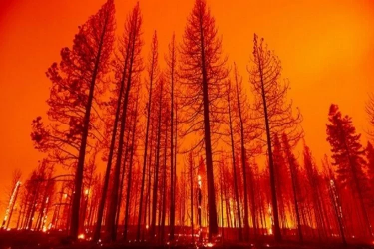 ABD'de devam eden orman yangını tekrar büyüyor!
