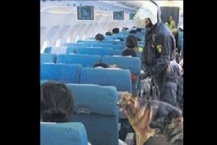 Büyük skandal! Türk yolcuları köpeklere koklattılar