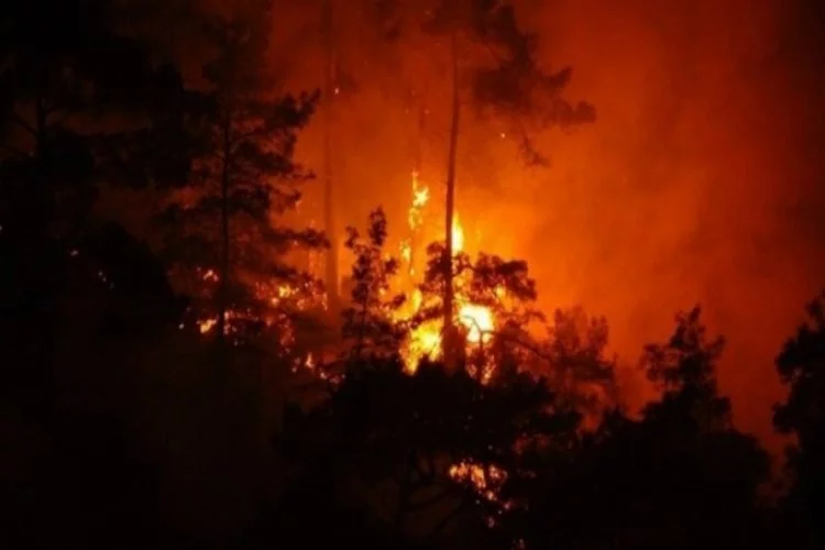Balıkesir'de orman yangınlarına karşı tedbirler 1 Ekim'e kadar uzatıldı