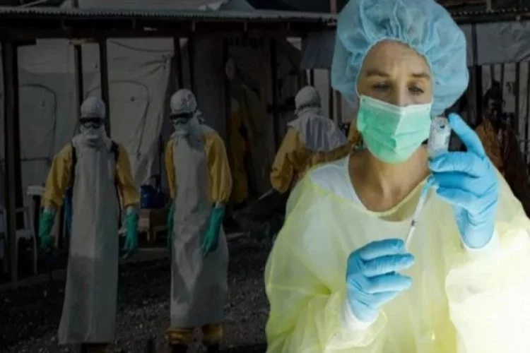 Ebola aşısında umut doğdu