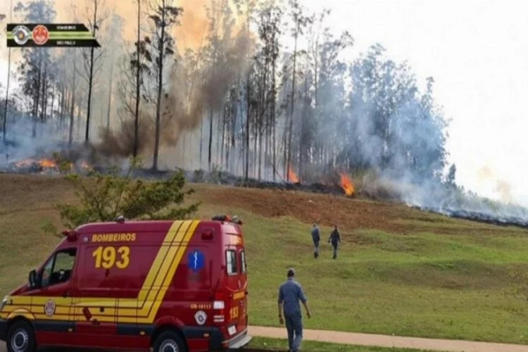 Brezilya'da küçük uçak düştü! 7 kişi hayatını kaybetti