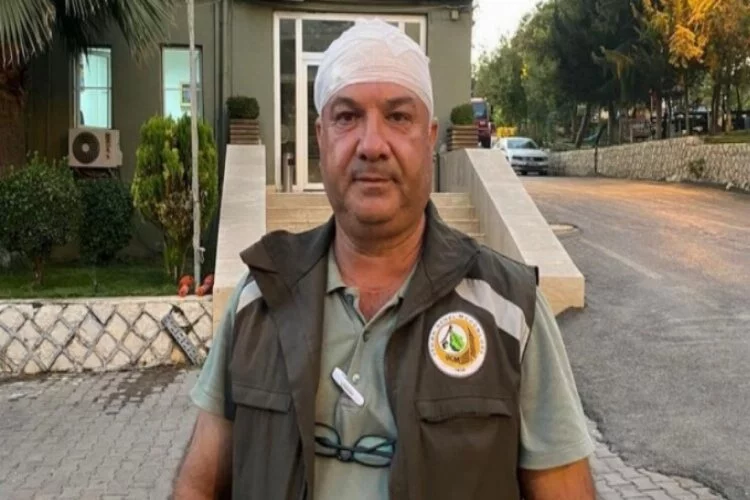 Mardin'de orman görevlilerine saldırı