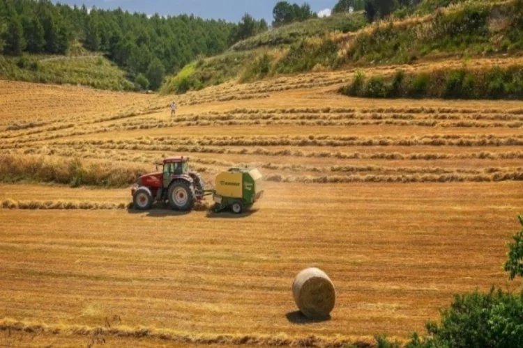 'Rusya'dan Türkiye'ye tarım ürünleri ihracatı, iki katına çıkabilir'