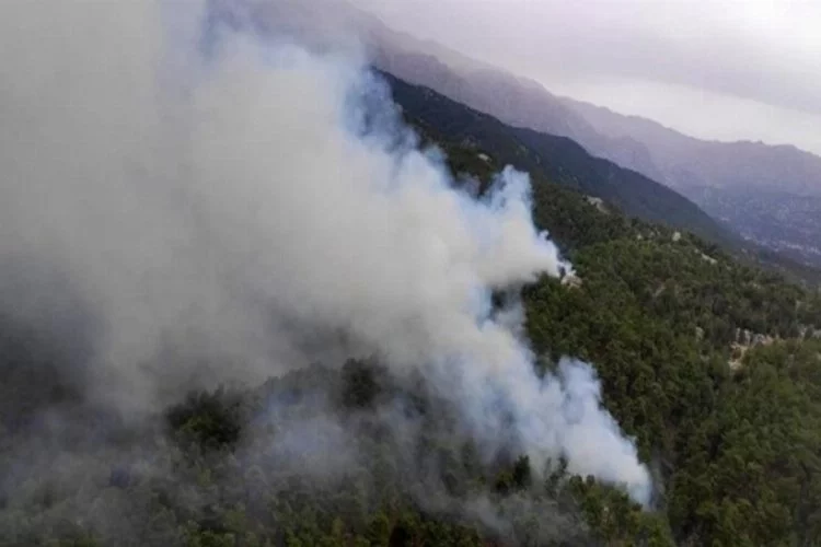Manavgat'ta orman yangınında son durum!