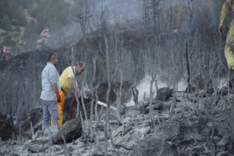 Bucak'taki orman yangını kontrol altına alındı