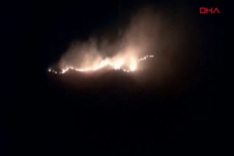 Bodrum'da otluk alanda yangın