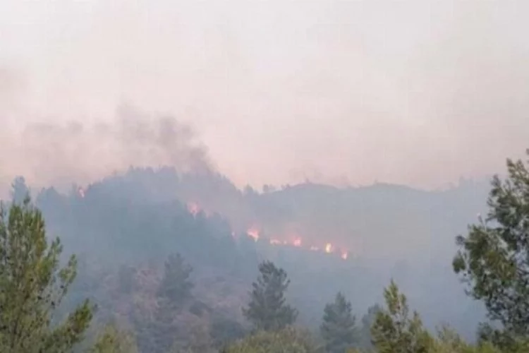 Muğla'nın Dalaman ilçesinde orman yangını!
