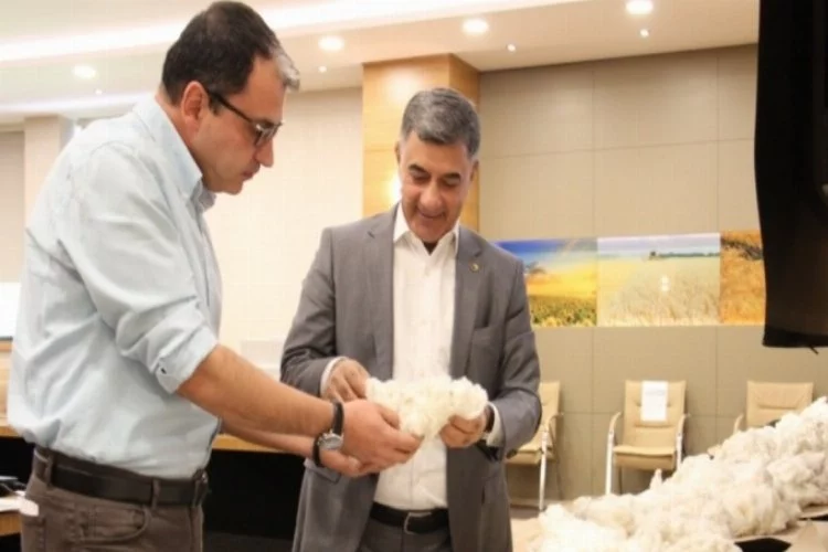 Diyarbakır Ticaret Borsası'nda online pamuk alım satımı