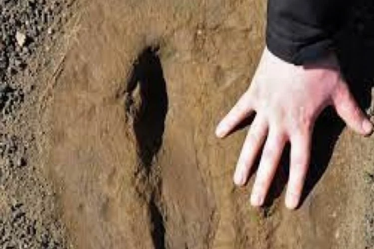 Kumda 6 milyon yıllık ayak izi bulundu
