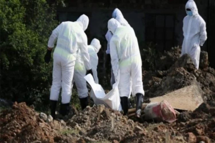 H5N6 uyarısı: Bulaştığı insanların çoğunu öldürüyor