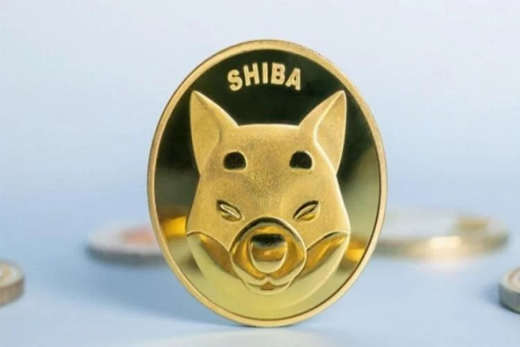 Kripto piyasaları Shiba Inu'yu izliyor!