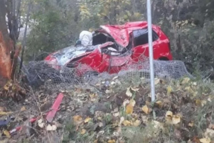 Ağaca çarpan sürücü öldü, yolcu ağır yaralandı