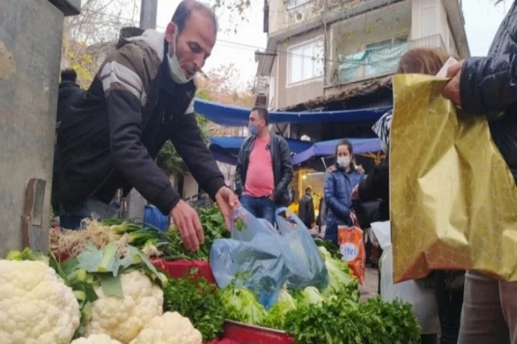 Bursa'da fiyatları düşen karnabahar kapışılıyor