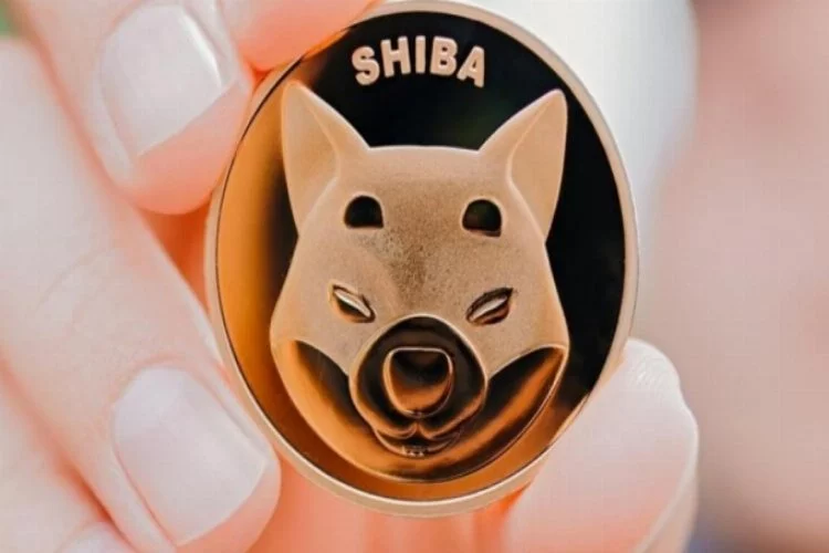 Shiba Inu'de güçlü yükseliş