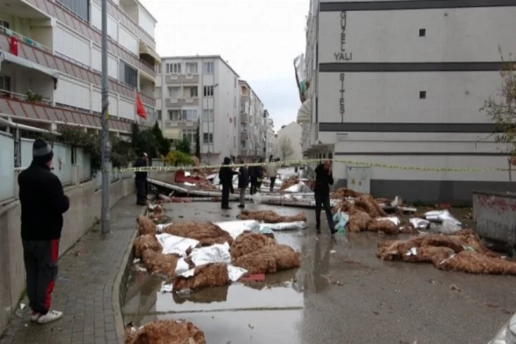 Bursa'da fırtınanın vurduğu Gemlik'te temizlik çalışması