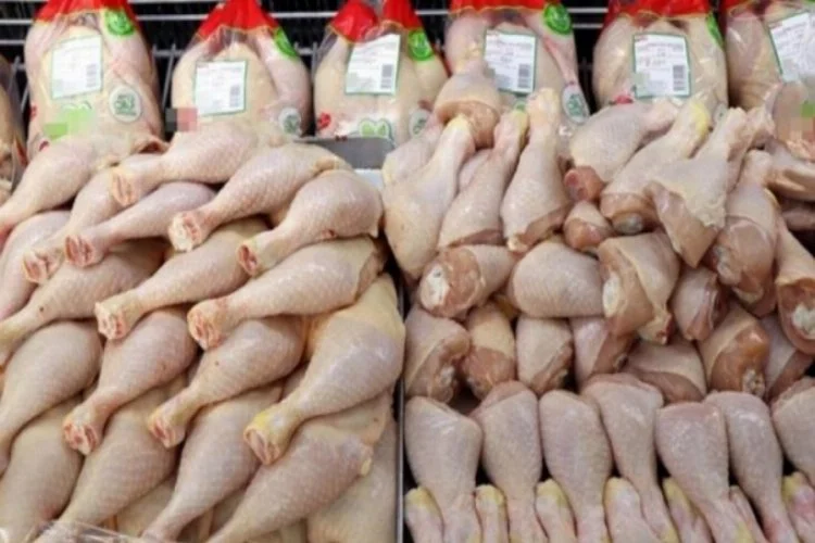 Tavuk eti üretimi artışta